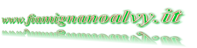 www.fiamignanoavy.it